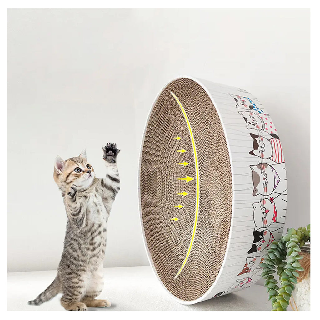 Rascador Gatos  Redondo