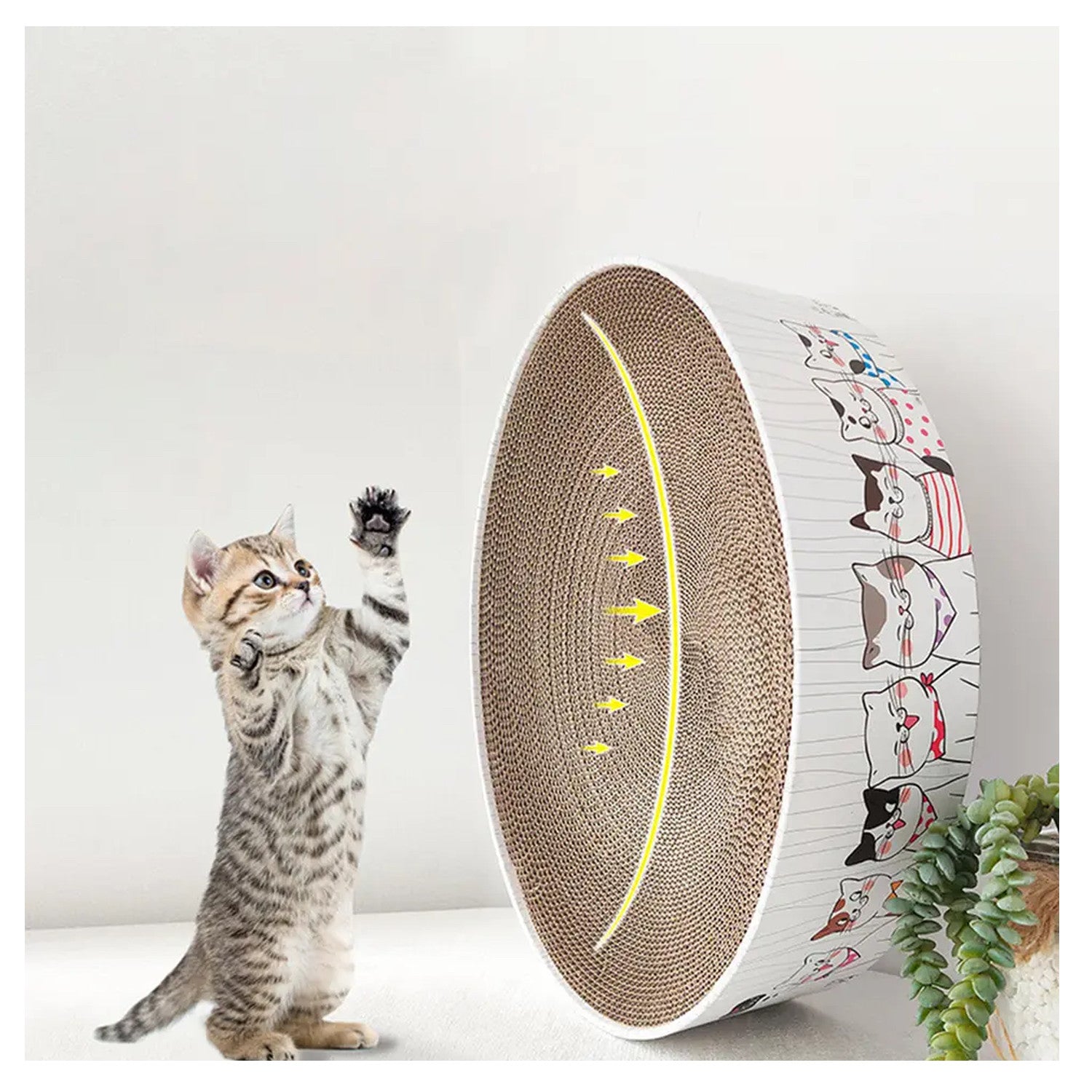 Rascador Gatos  Redondo
