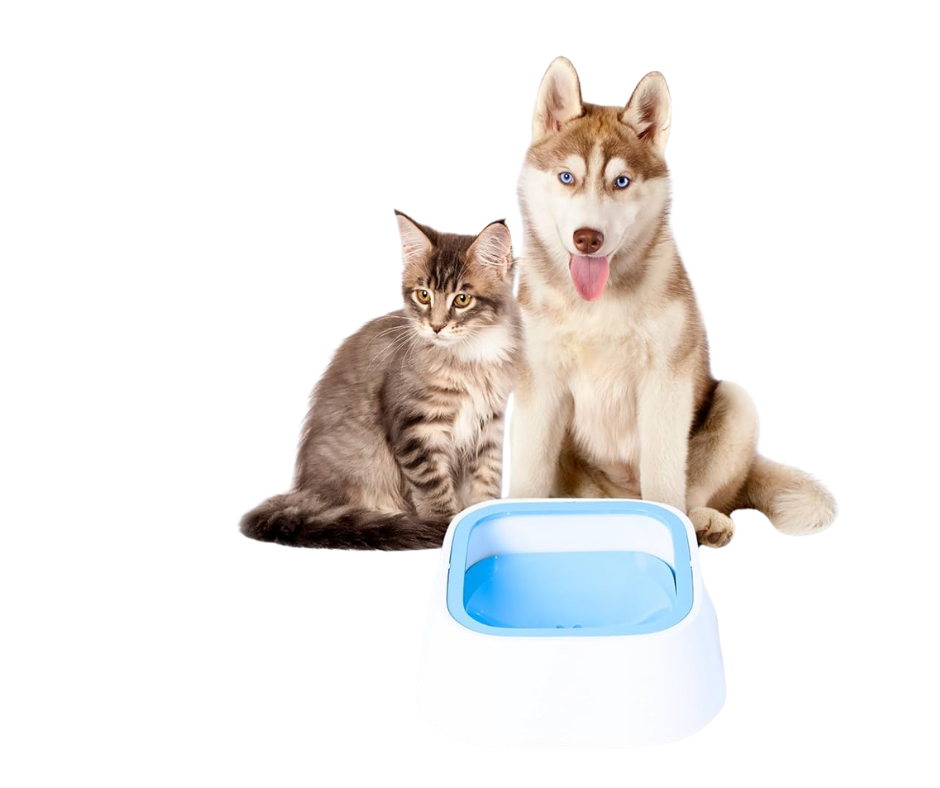 Bebedero Para Perros Y Gatos