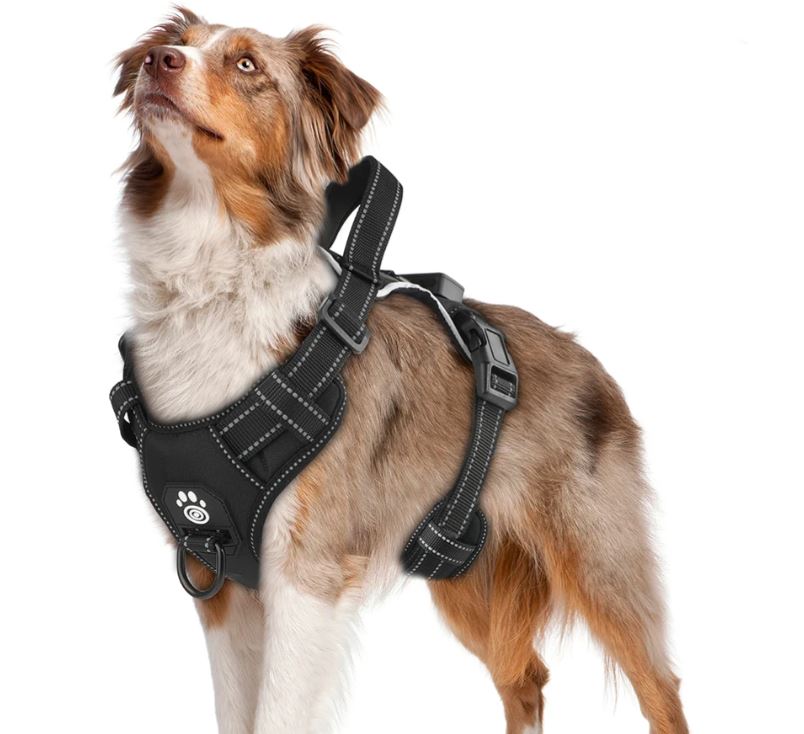 Arnés de Seguridad LED Recargable para Perros