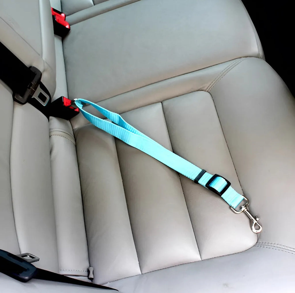 Cinturón de seguridad universal