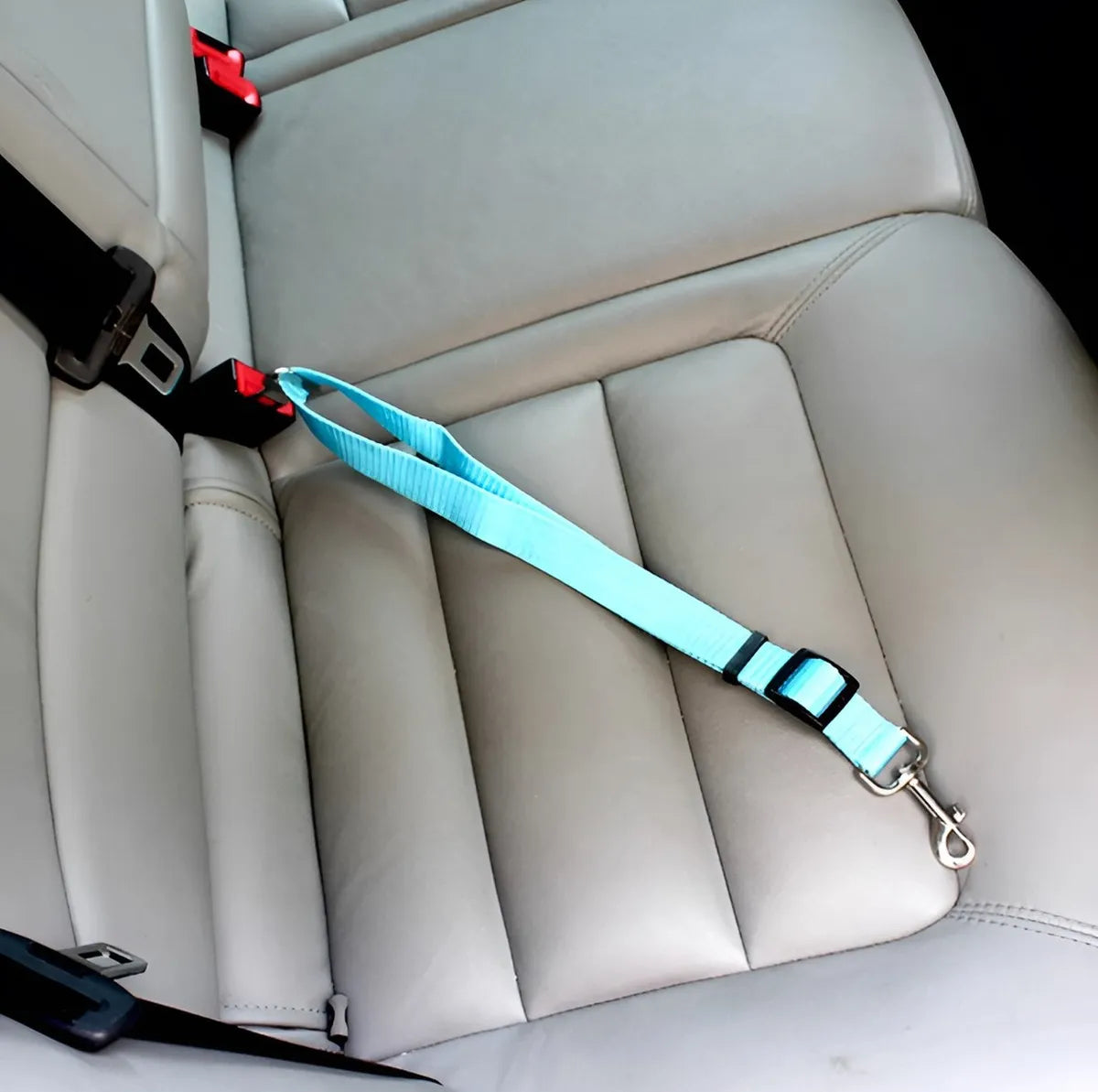 Cinturón de seguridad universal